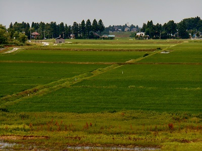 田園風景２